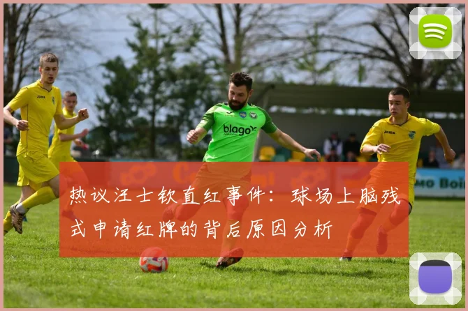 热议汪士钦直红事件：球场上脑残式申请红牌的背后原因分析